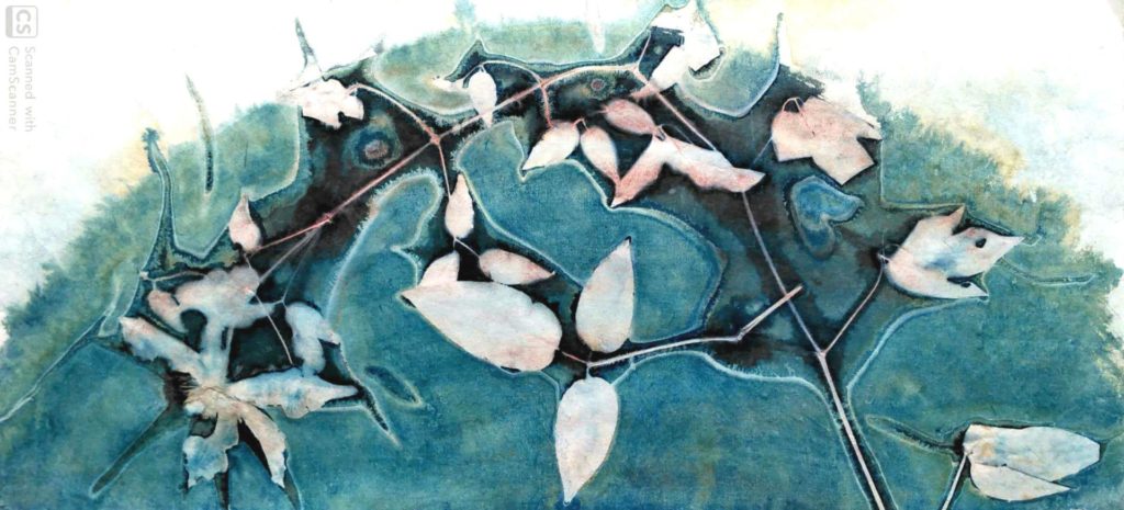 Cyanotype agnes clairand rondo clematite