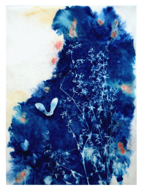 Cyanotype agnes clairand