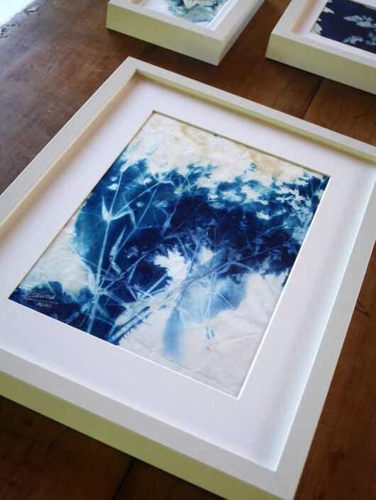 Cyanotype à la stellaire – Image 3