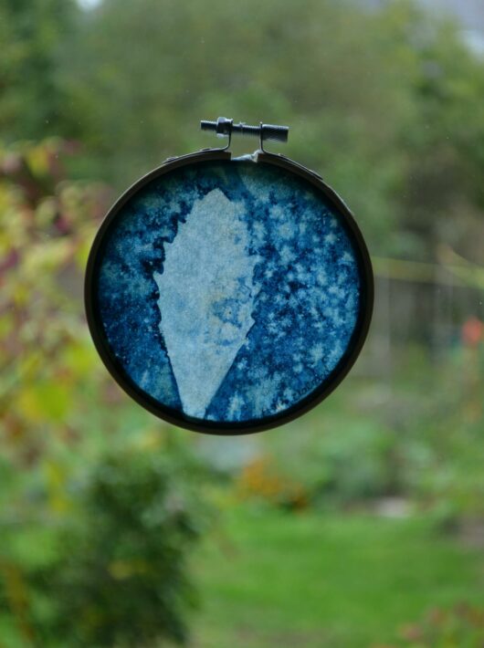 Cyanotype "bulle de bonheur", à la feuille de orpin