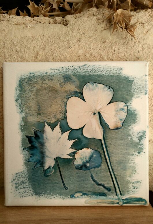 Cyanotype aux trois feuilles