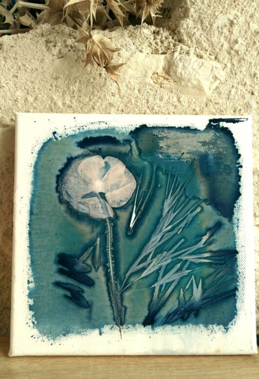 Cyanotype au coquelicot sur châssis