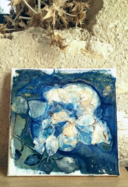 Cyanotype à la rose sur châssis