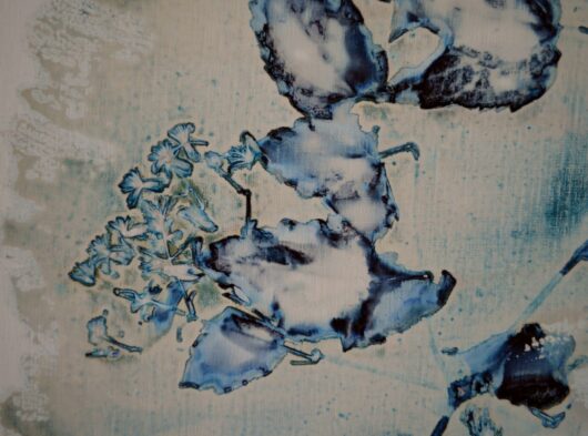 Cyanotype à la clématite sauvage sur châssis – Image 3