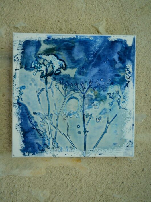 Cyanotype à l'origan sur châssis