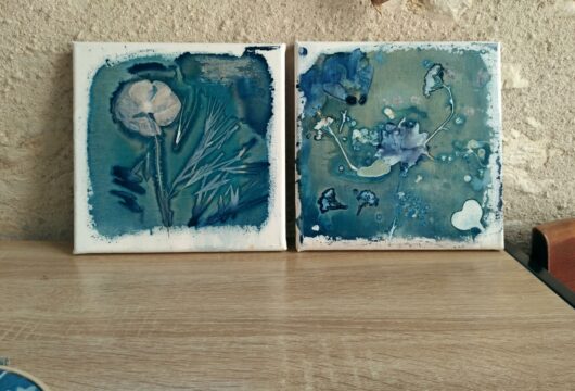 Cyanotype au coquelicot sur châssis – Image 3