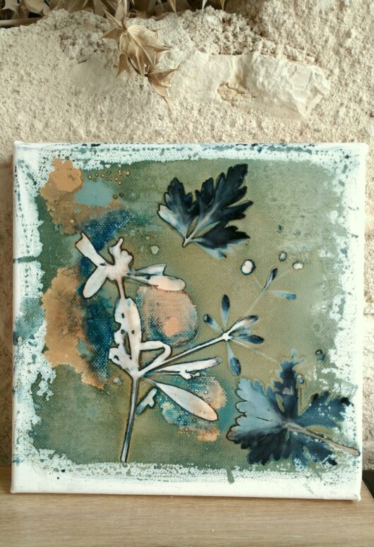 Cyanotype au gaillet gratteron sur châssis