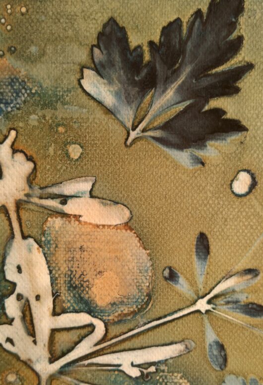 Cyanotype au gaillet gratteron sur châssis – Image 2