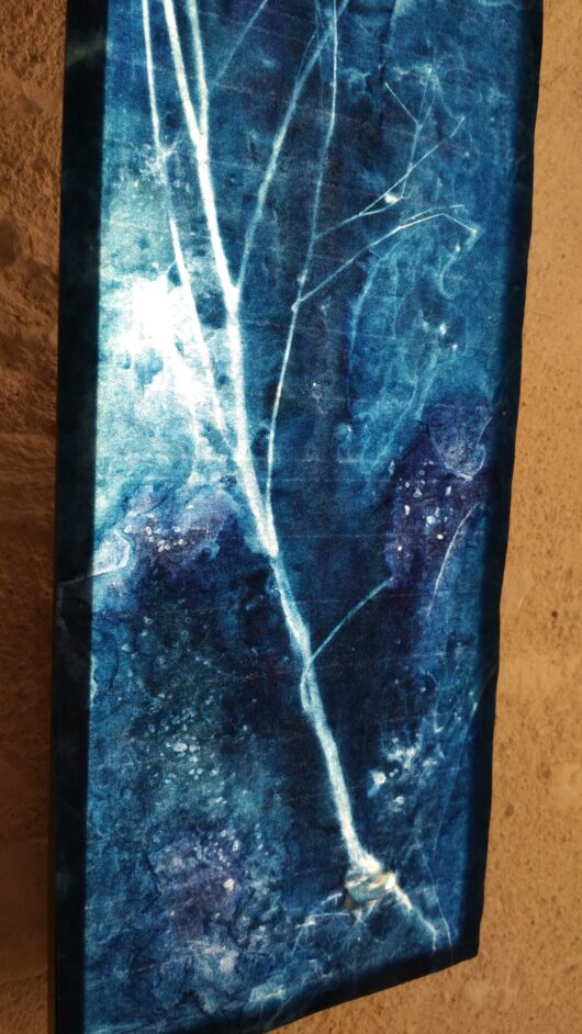 Cyanotype sur tableau lumineux à la lampsane – Image 5