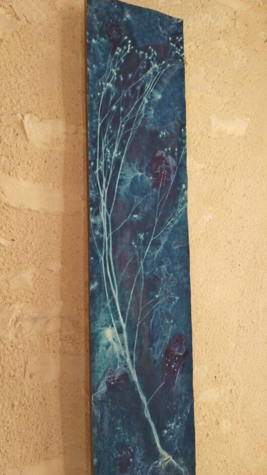 Cyanotype sur tableau lumineux à la lampsane – Image 7