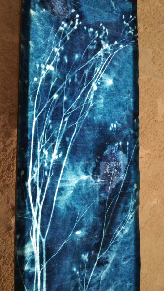 Cyanotype sur tableau lumineux à la lampsane – Image 4