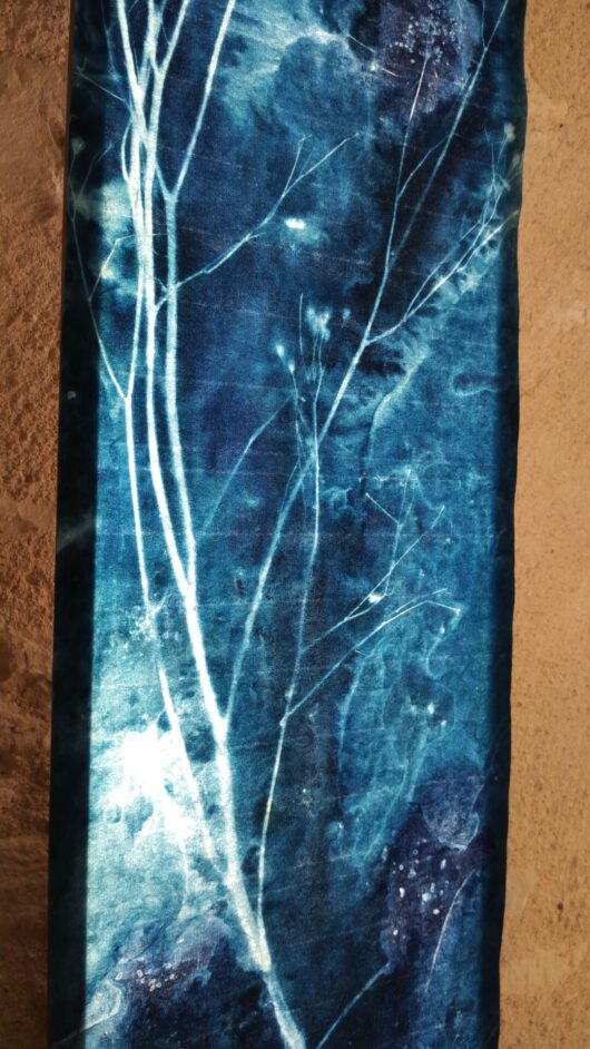 Cyanotype sur tableau lumineux à la lampsane – Image 6