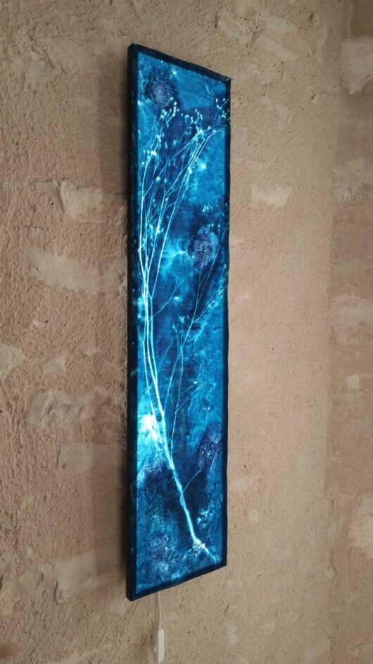 Cyanotype sur tableau lumineux à la lampsane – Image 2