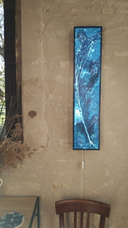 Cyanotype sur tableau lumineux à la lampsane