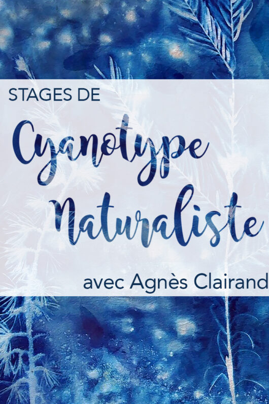 Stage de cyanotype, créativité et féminin sacré à Saintes