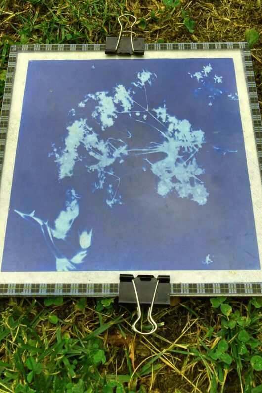 Cercle Laïque Poitevin, Poitiers, cyanotype intuitif.