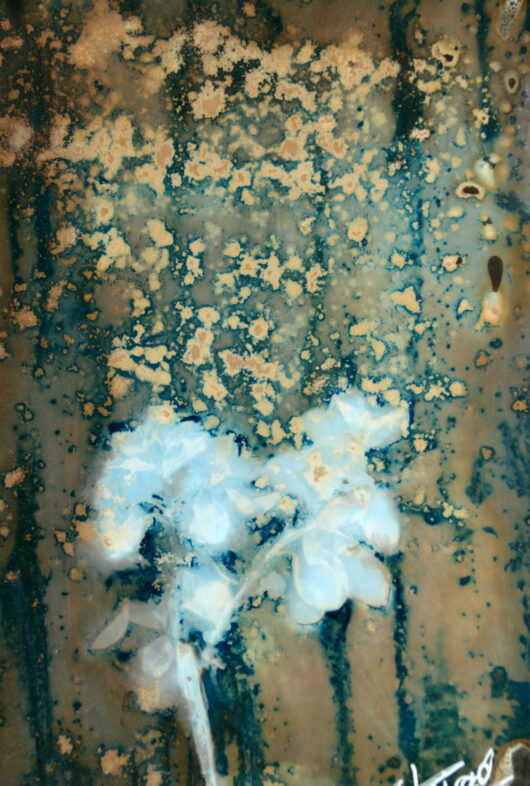 Cyanolumen à la Véronique de Perse – Image 2
