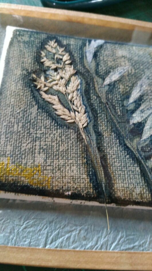 Cyanotype aux graminés