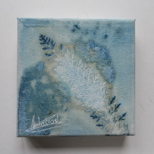 Cyanotype à la feuille de achillée millefeuilles sur châssis.