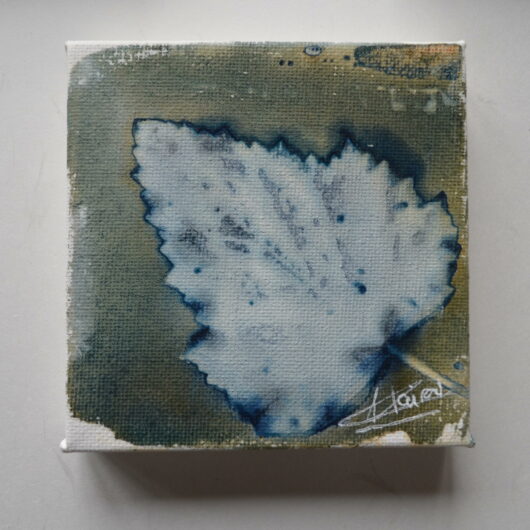 Cyanotype à la feuille de guimauve sur châssis