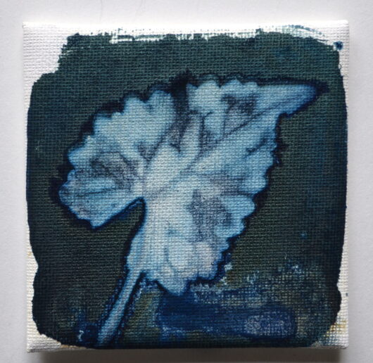 Cyanotype à la feuille sur châssis.