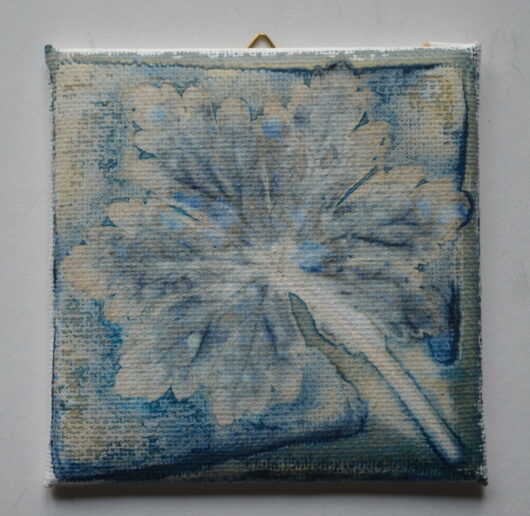 Cyanotype à la feuille géranium tubéreux sur châssis.