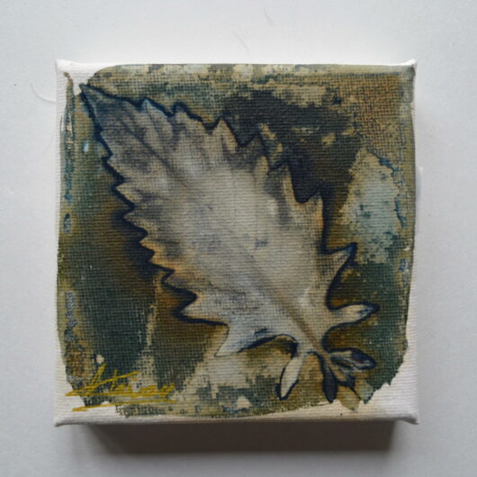 Cyanotype à la feuille de chanvre des marais sur châssis.