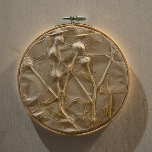 Métamorphose, "bulle de bonheur" au chrysanthème
