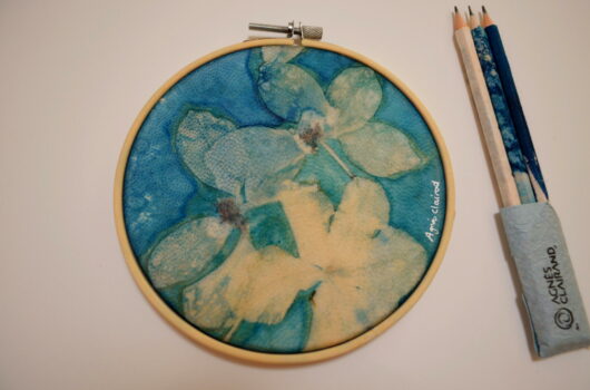 Cyanotype "bulle de bonheur à fleur de peau" sur parchemin au cornouiller japonais