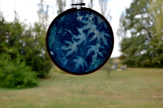 Cyanotype "bulle de bonheur" aux feuilles d'érable