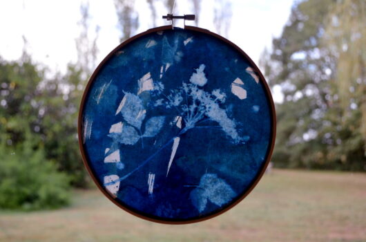 Cyanotype "bulle de bonheur" au cerfeuil