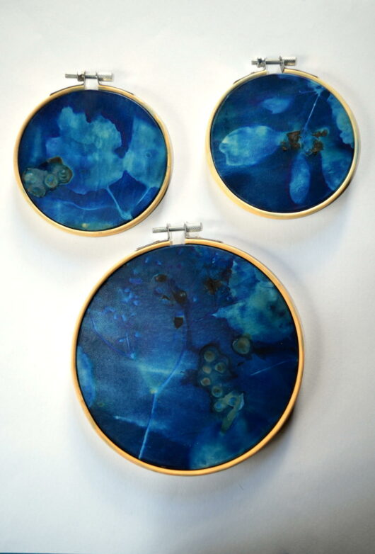 Cyanotype "bulle de bonheur" sur parchemin aux baies – Image 3