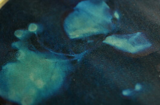 Cyanotype "bulle de bonheur à fleur de peau" sur parchemin à la belladone – Image 2