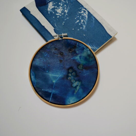 Cyanotype "bulle de bonheur à fleur de peau" sur parchemin aux grappes de sureau