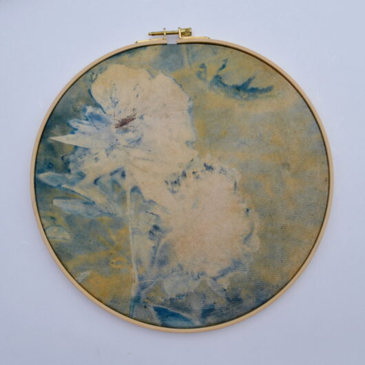 Cyanotype "bulle de bonheur à fleur de peau" sur parchemin aux pivoines