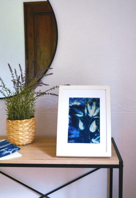 Cyanotype au chanvre