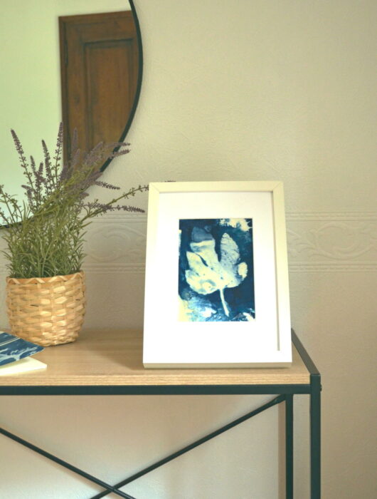 Cyanotype à la feuille de figuier
