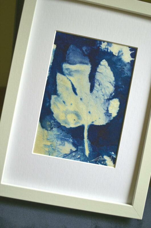Cyanotype à la feuille de figuier – Image 3