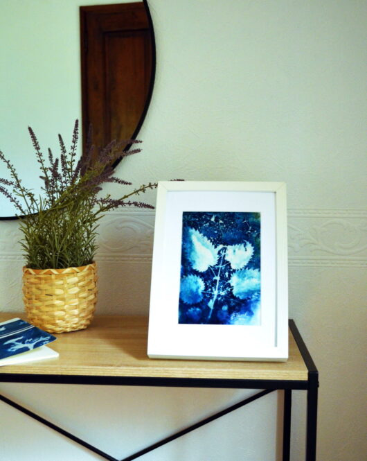 Cyanotype à l'ortie
