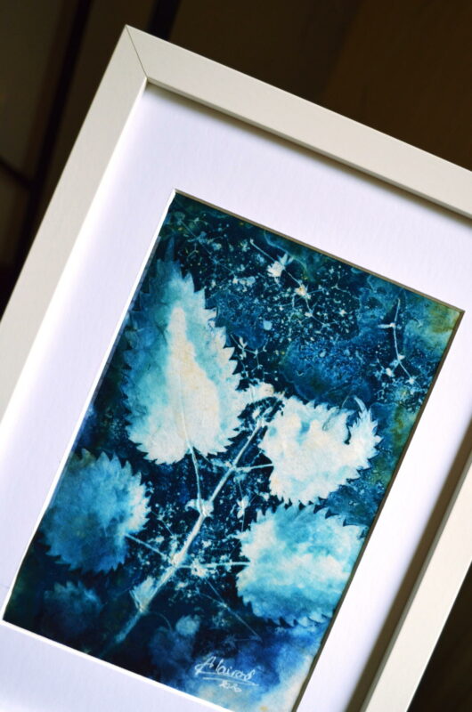 Cyanotype à l'ortie – Image 3