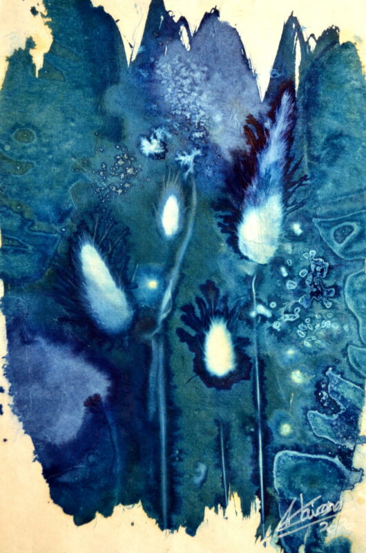 Cyanotype à la queue de lièvre. – Image 2
