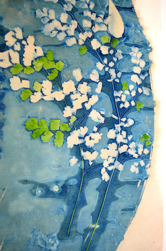 Cyanotype en kakémono à la stellaire – Image 2
