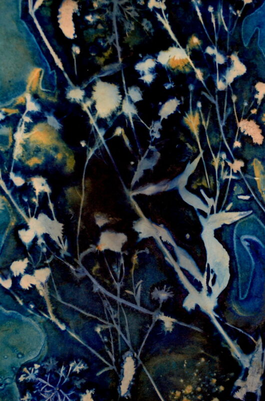 Cyanotype en kakémono à la stellaire – Image 2