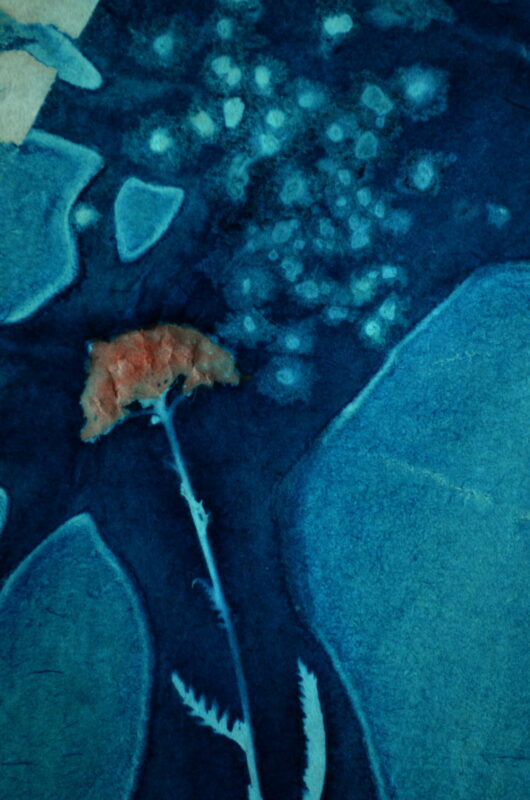 Cyanotype en kakemono à l'achillée millefeuille – Image 3