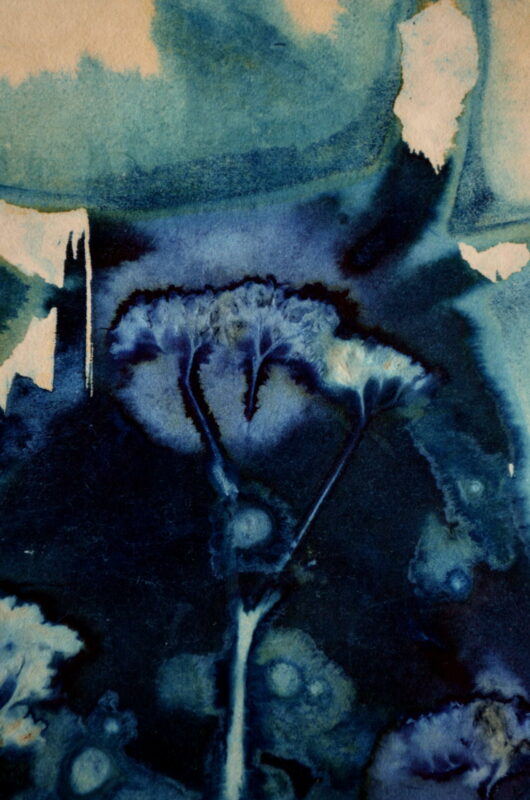 Cyanotype en kakemono à l'origan – Image 3