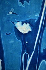 Cyanotype en kakémono à l'orge barbu et coquelicots – Image 3