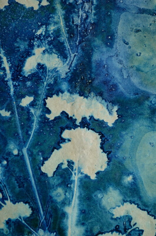 Cyanotype en kakemono à l'achillée – Image 2