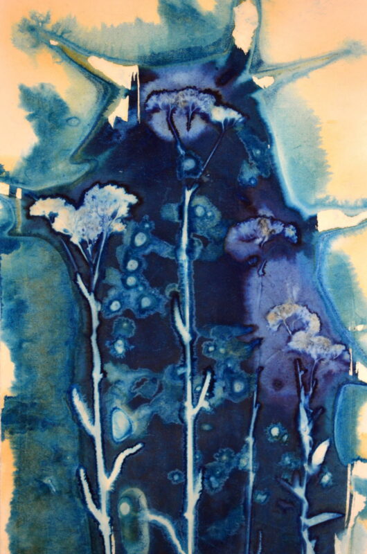 Cyanotype en kakemono à l'origan – Image 2