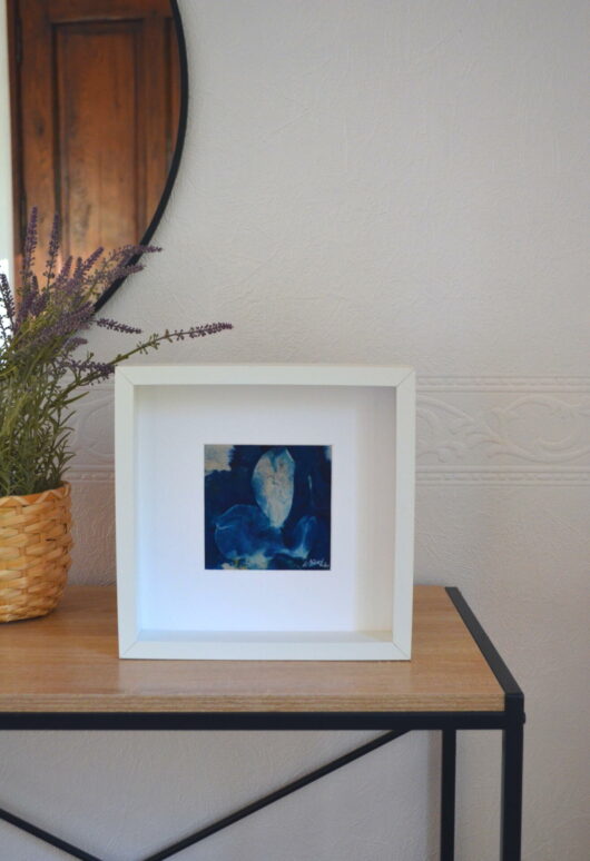 Cyanotype aux pétales de tulipe