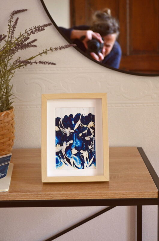 Cyanotype à la stellaire
